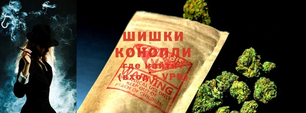 PSILOCYBIN Соль-Илецк