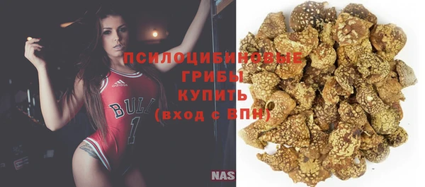 амф Кострома