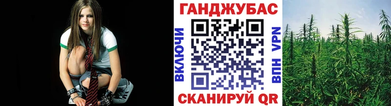 Конопля семена  Багратионовск 